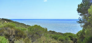 |Saving Doñana