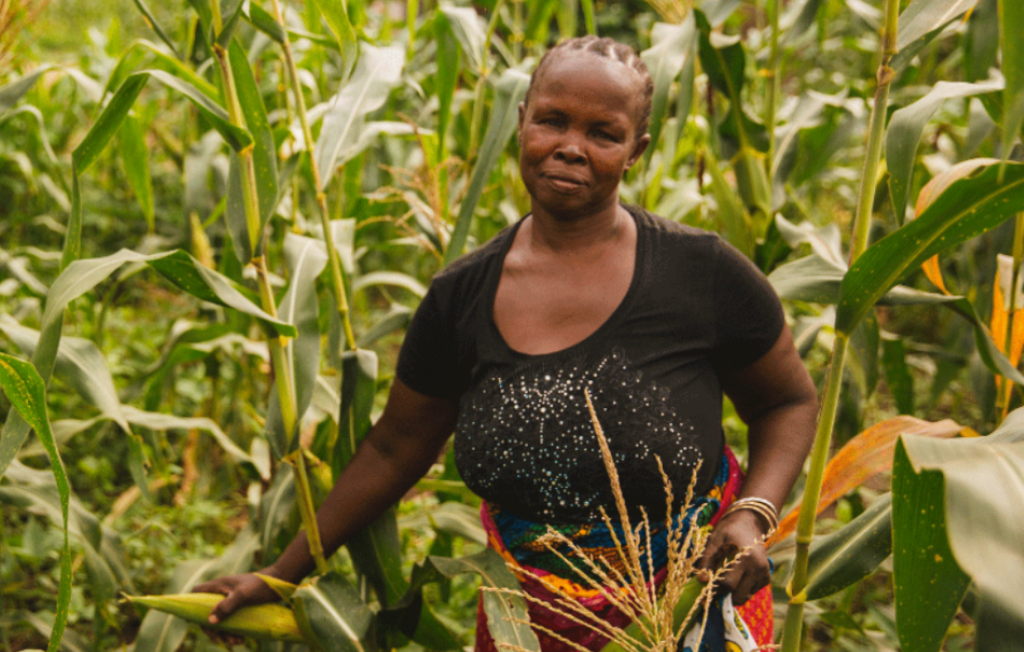 Financial Inclusion Fit to Size: Customizing Digital Credit for Smallholder Farmers in Tanzania