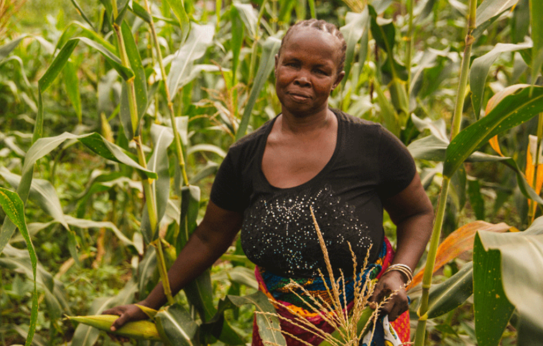 Tanzania small holder farmer