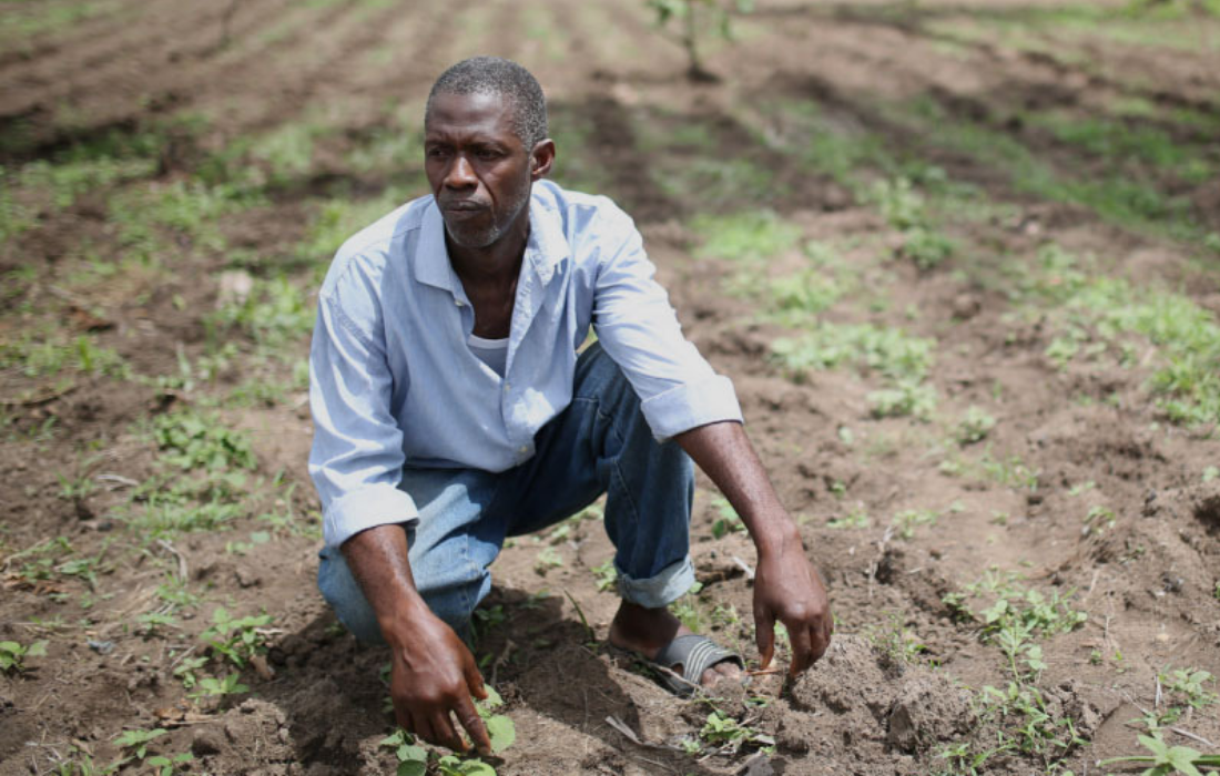 Initiatives in Guinea