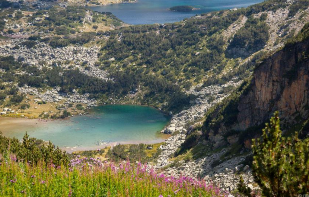 Slippery slope: protecting Pirin from unsustainable recreation and logging