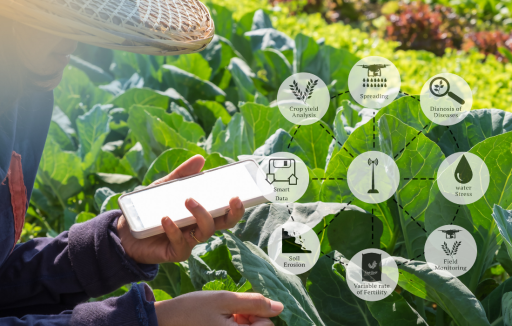 What are hidden data treasuries and how can they help development outcomes?