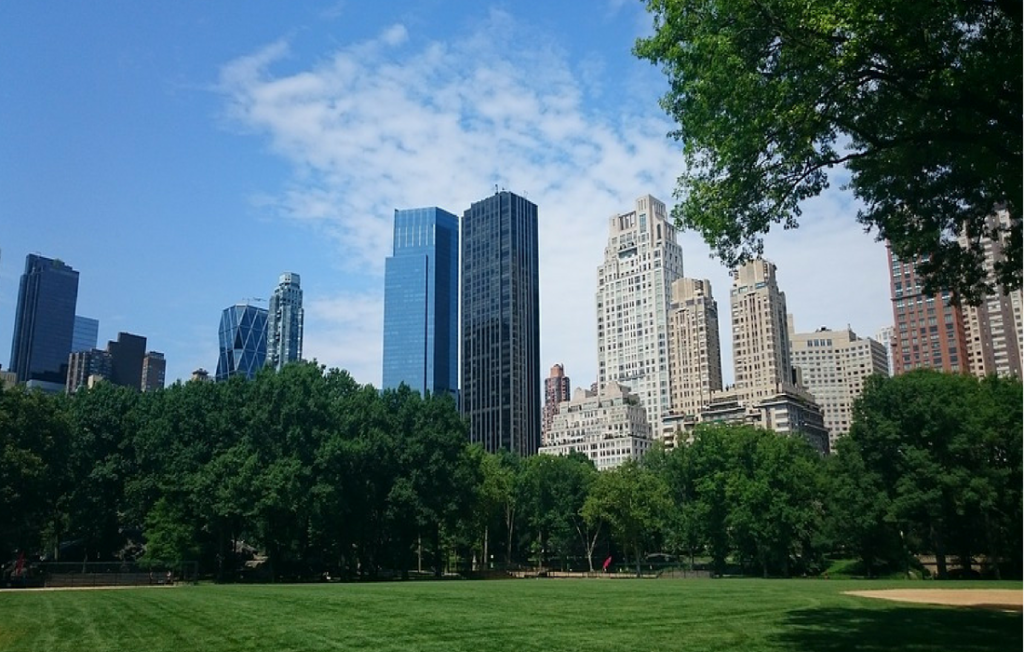 New Yorkers’ contributions to a greener, greater city: a behavioral impact study