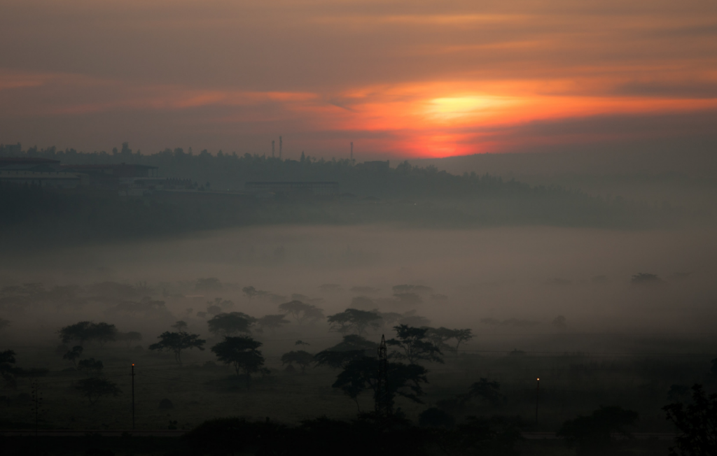 Employment opportunities for youth in Rwanda