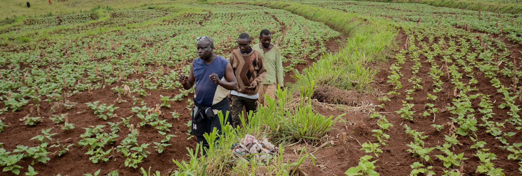 How would farmers measure the impact of financial solutions