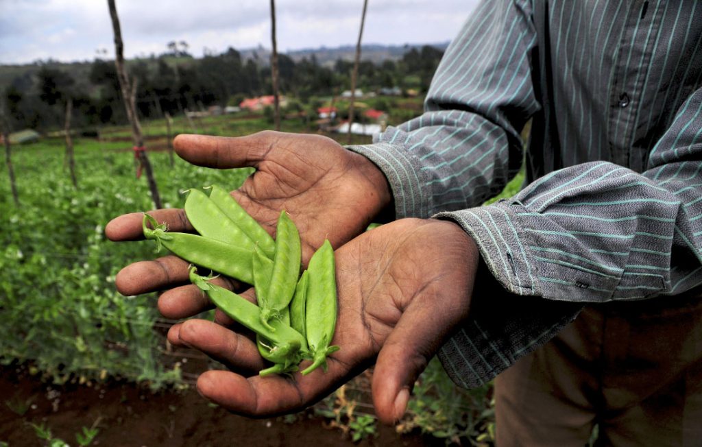 Direct-to-farmer finance: business models for serving the hardest-to-reach smallholders
