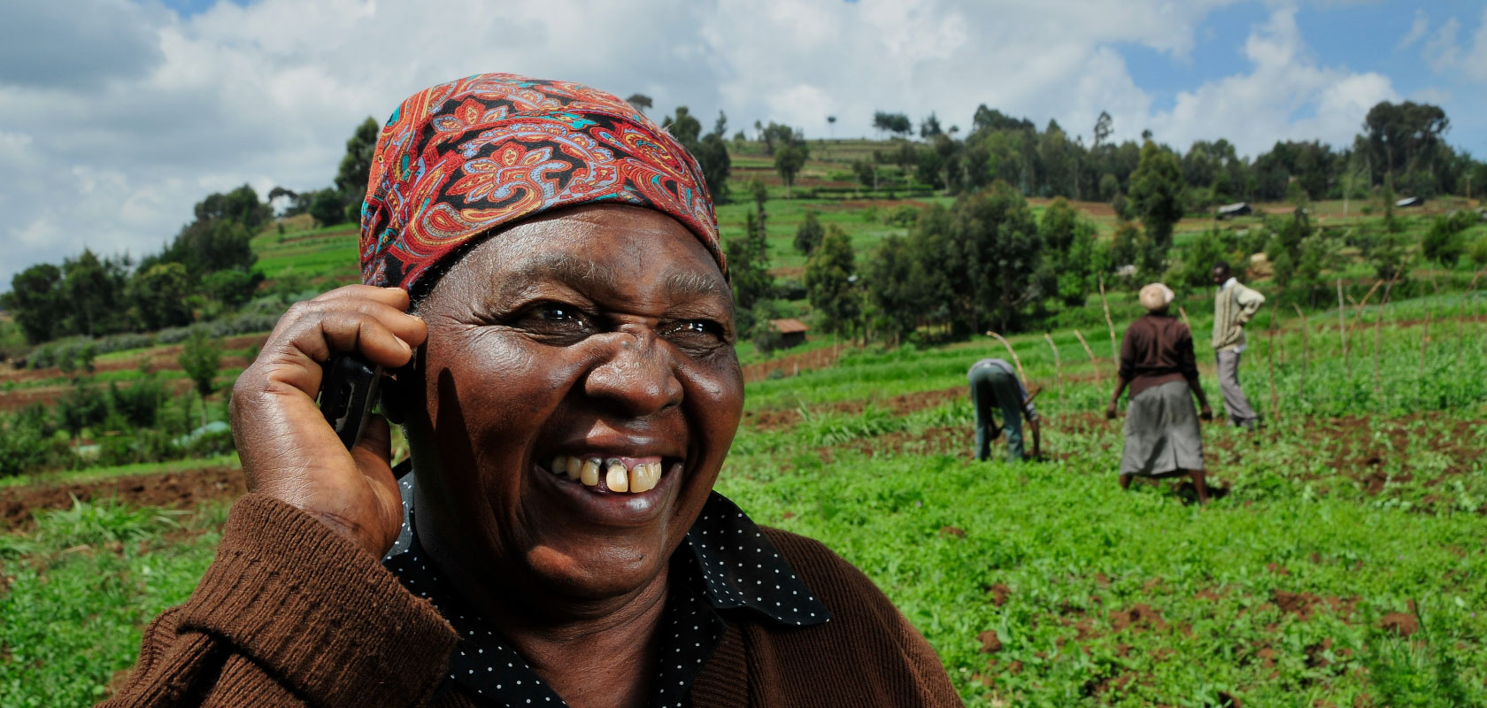 Customizing digital credit for smallholder farmers in Tanzania