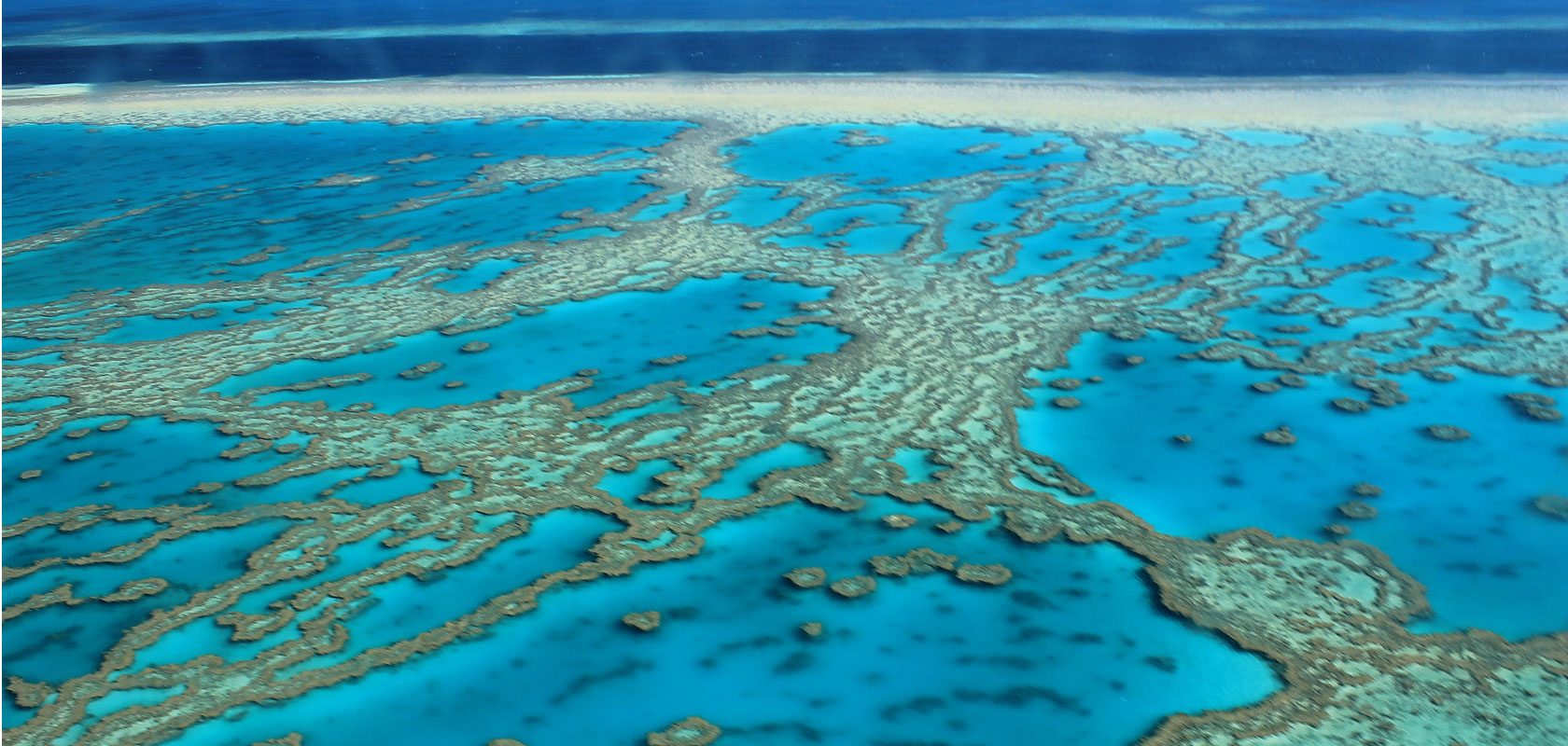 Protecting the great barrier reef - Dalberg