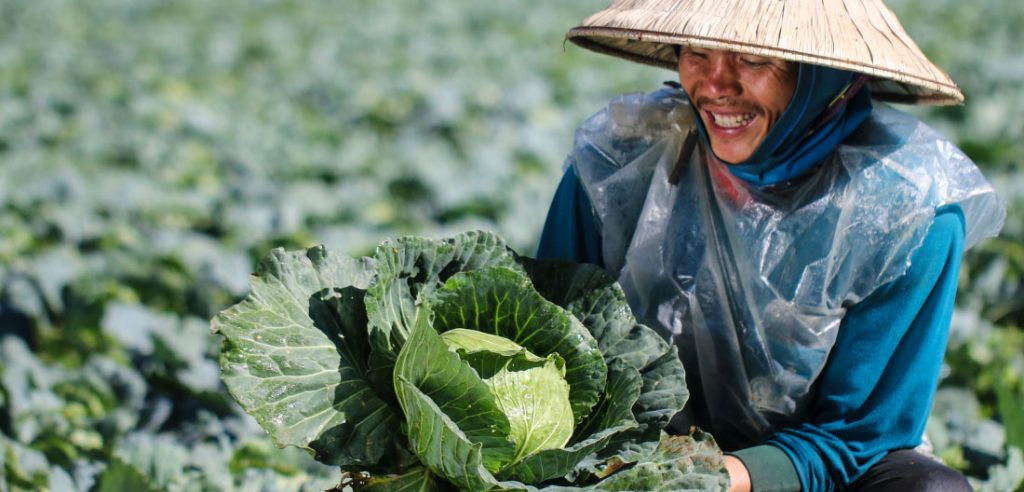 The business case for digitally-enabled smallholder finance