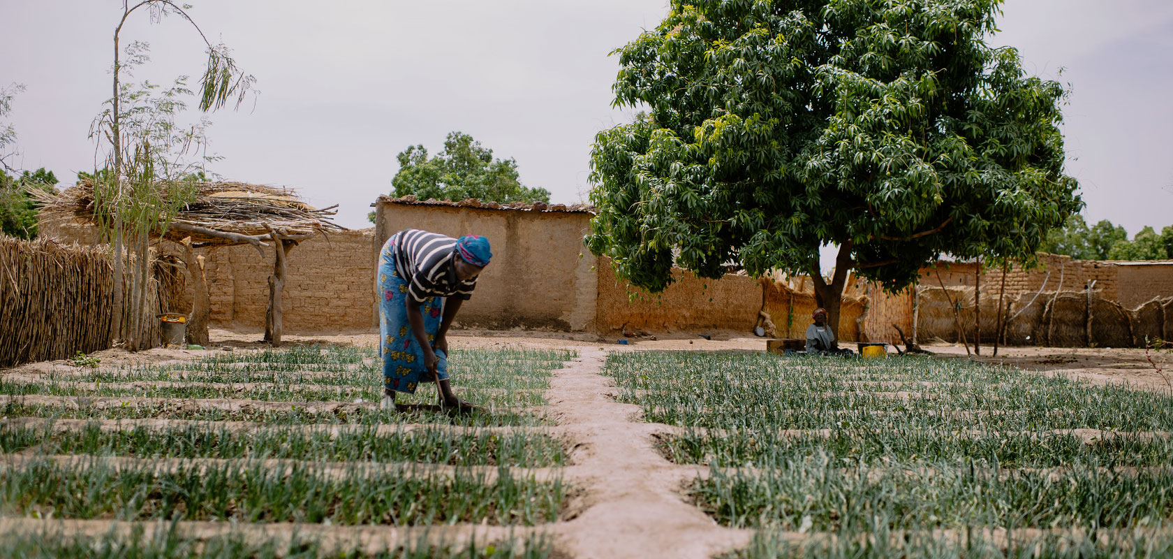 Studying smallholder farmers’ use of financial services in Kenya