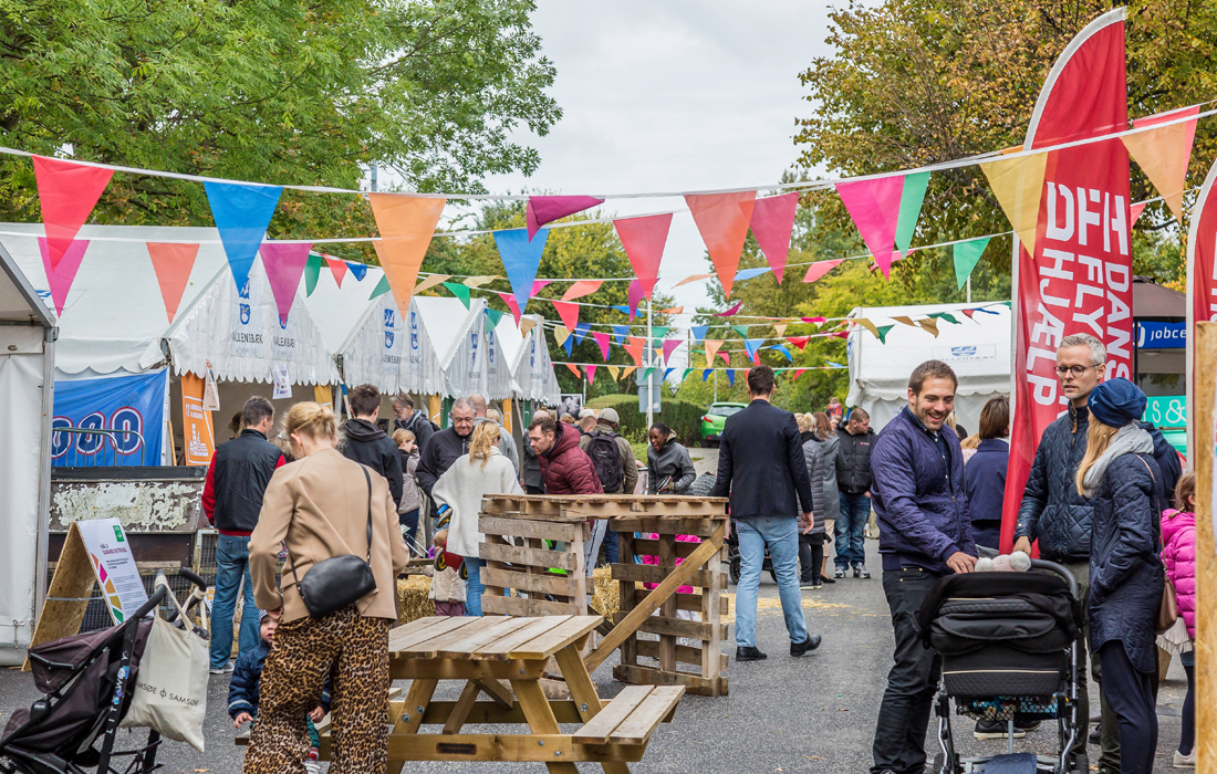 Sustainable now – festival for the sustainable development goals