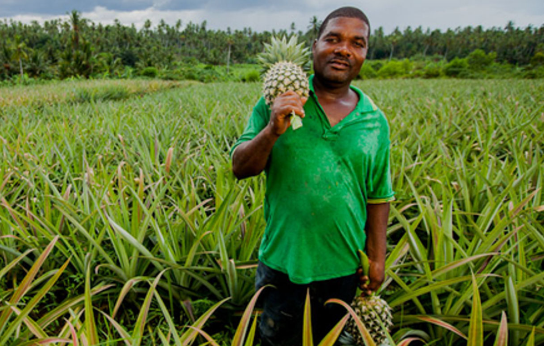 Facilitating the delivery unit for the Prime Minister of Guinea