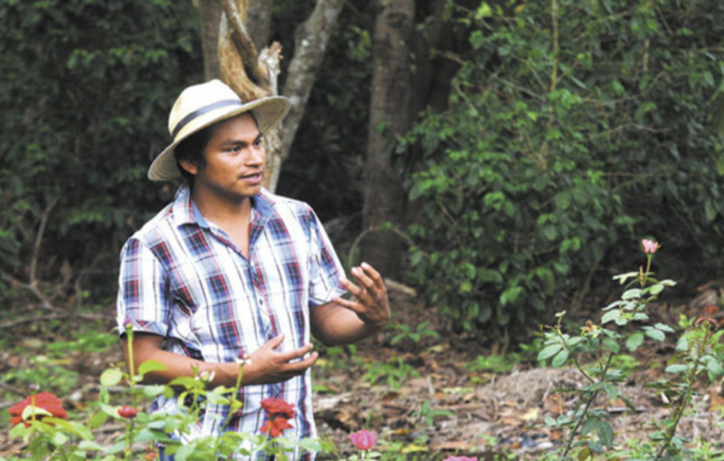 Strengthening the support system for Small and Growing Businesses in emerging economies