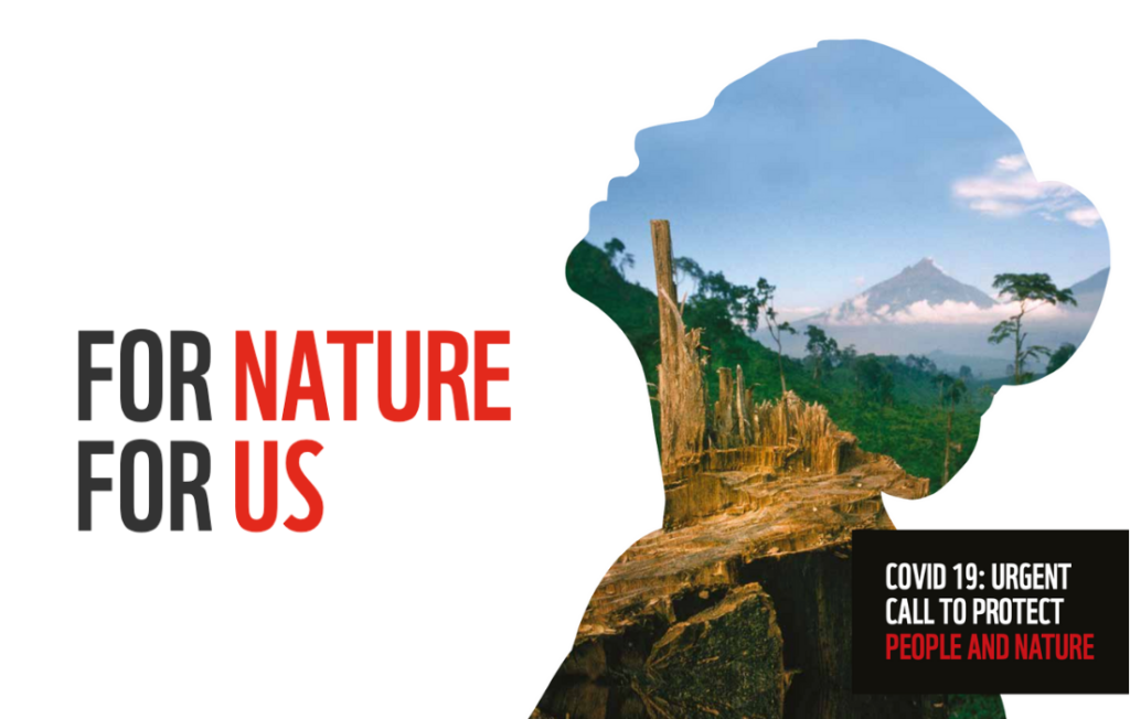 Covid-19: mitigating the risk of future pandemics by changing our relationship with the natural world