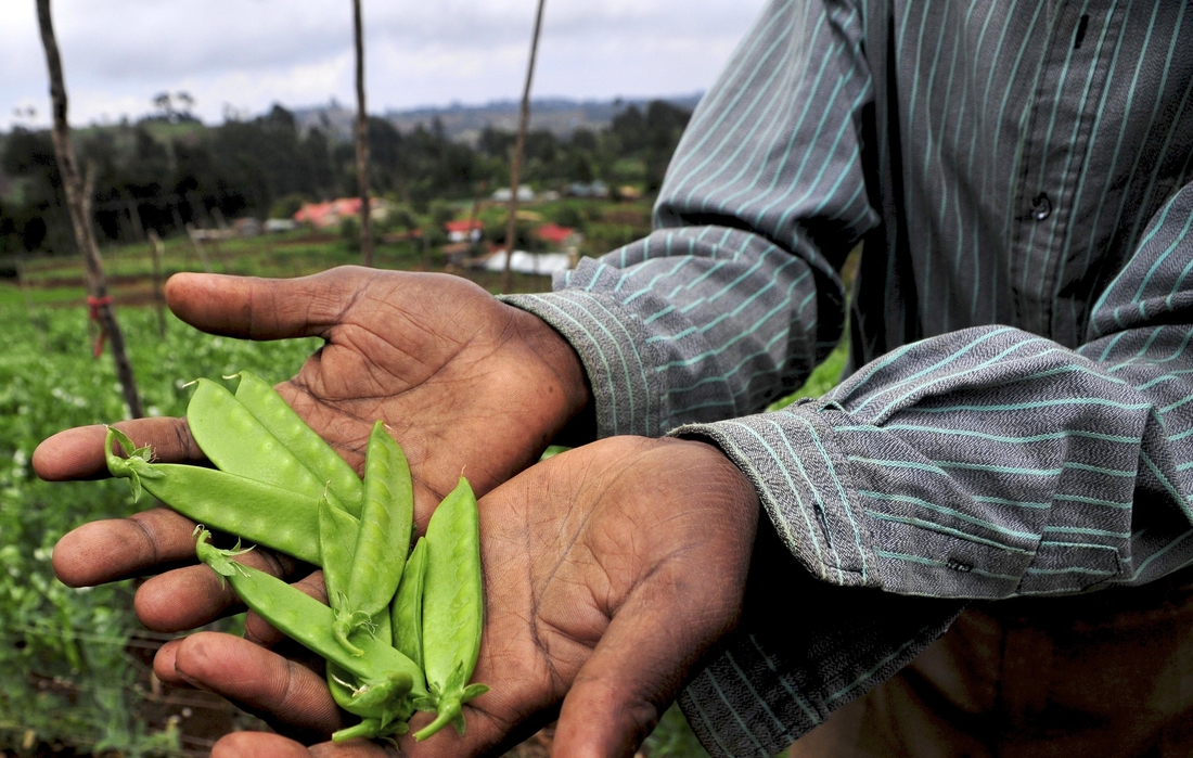 Engager la transformation du secteur agricole et assurer la sécurité alimentaire
