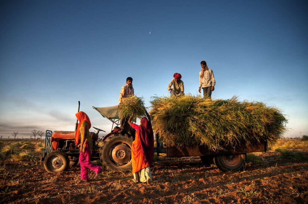 Funding Agricultural Innovation for the Global South: Does it Promote Sustainable Agricultural Intensification?