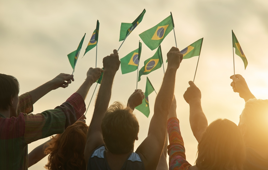 PNUD – Mapeo de oportunidades de inversión privada avanzando los objetivos de desarrollo sostenible en Brasil