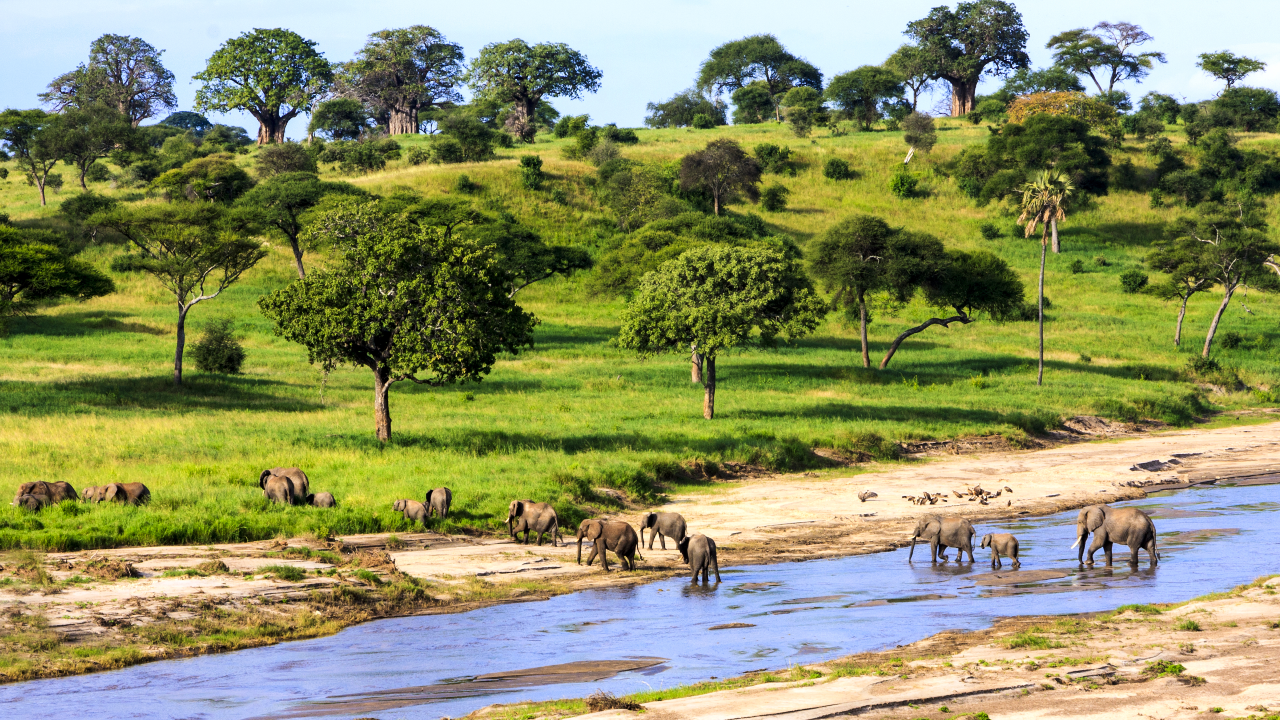 Boosting the Tourism Sector and Biodiversity Protection: Creating a Stronger Link Between Travel Experiences and Environmental Outcomes