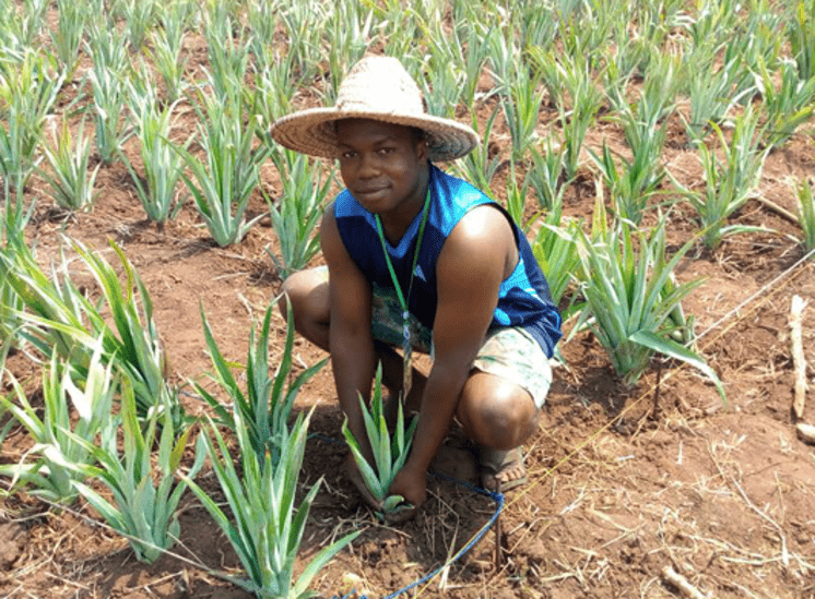 Towards Market Transparency in Smallholder Finance