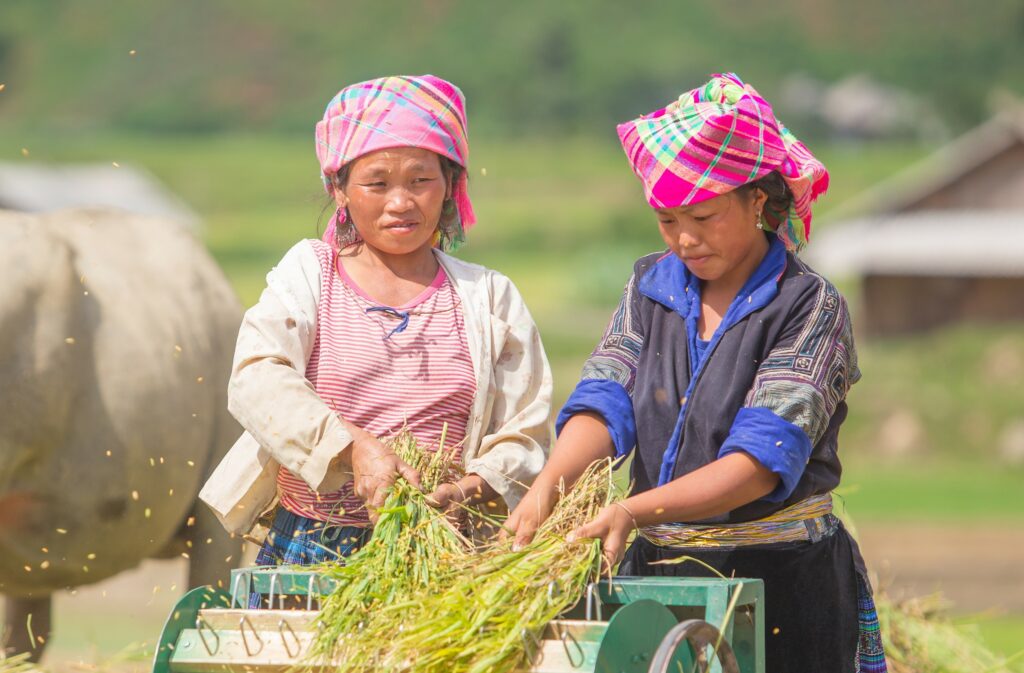 At the Intersection of Finance and Climate: How Effective and Inclusive Services Could Lead to Change