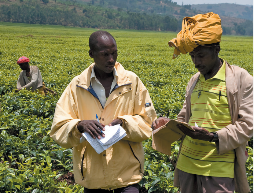 Data Sovereignty in Agricultural Value Chains