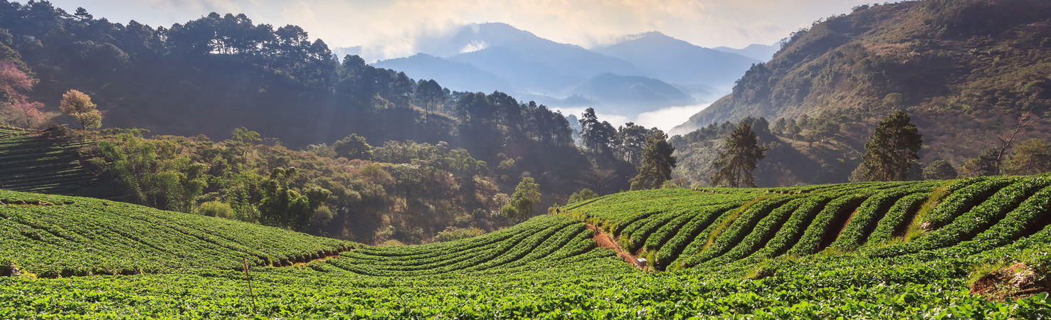 Putting the Puzzle Pieces Together: Closing the Monitoring, Verification, and Reporting Gap to Enable Sustainable Regenerative Agriculture