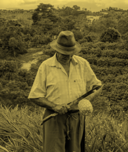Cultivating change: How can sustainable AgTech empower smallholder farmers in Latin America?
