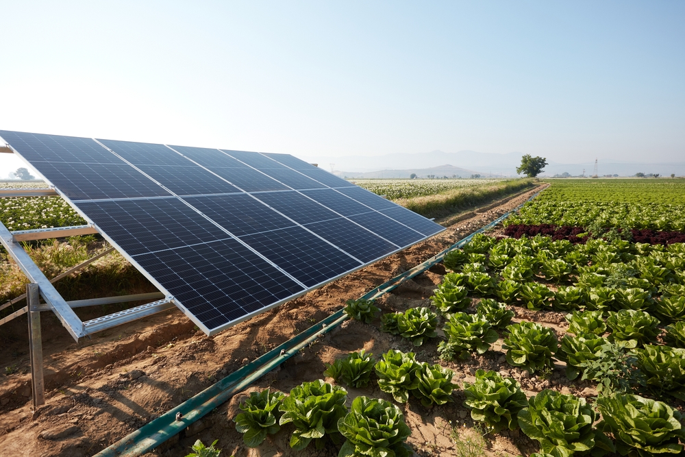 Unlocking Green Jobs for Youth in Solar Irrigation: Call for Partnerships
