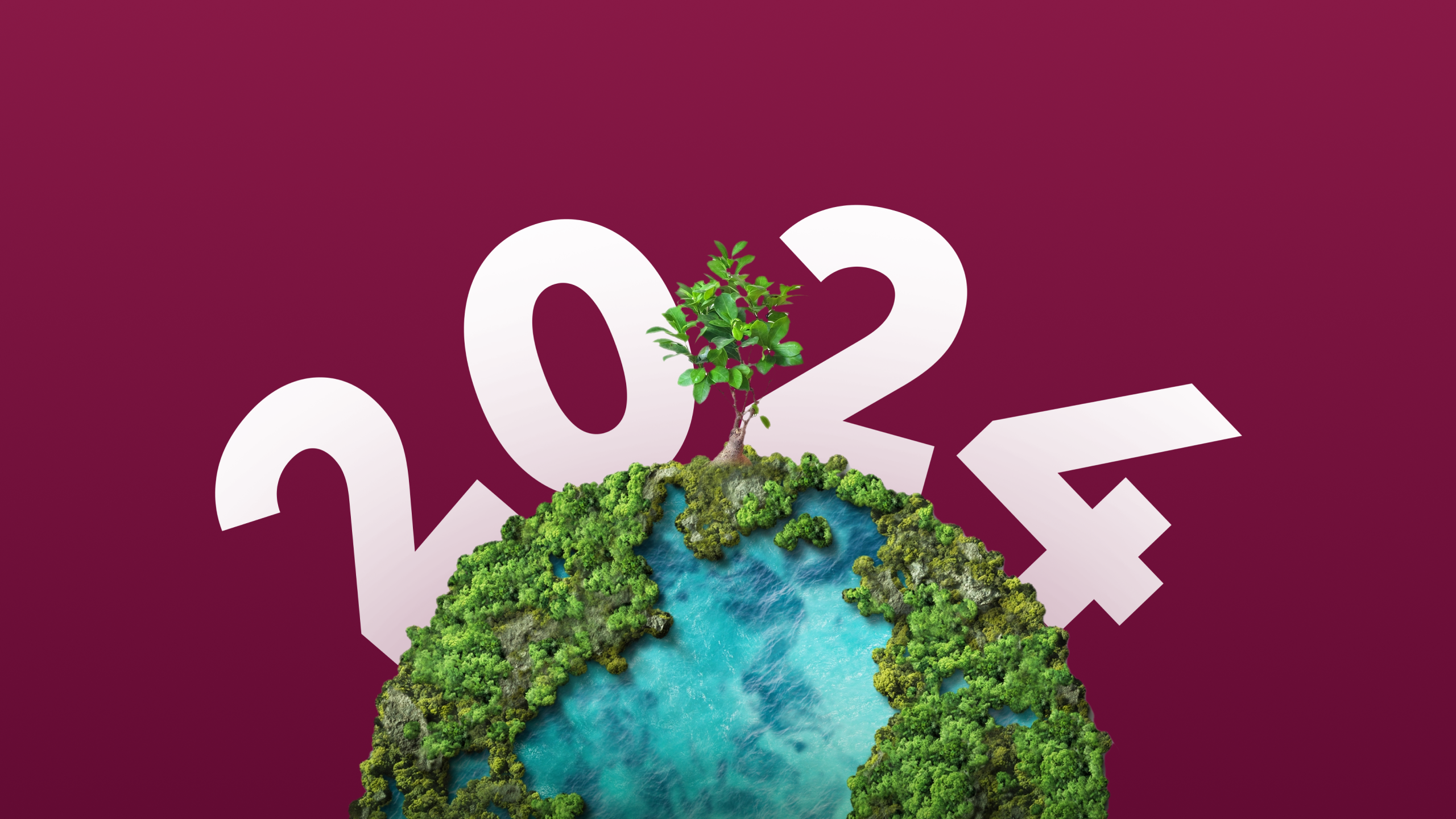 The next few years are going to be dynamic, complex, and unpredictable. Here’s how impact-driven organizations can adapt