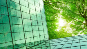 Corporate Power Must Be Curbed to Ensure a People-Centered, Just Energy Transition — and Philanthropy Can Help