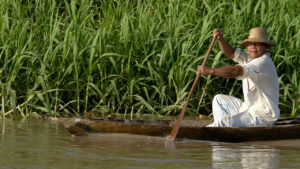 Tackling the Climate Crisis: Why Indigenous Communities Are Central to the Solution