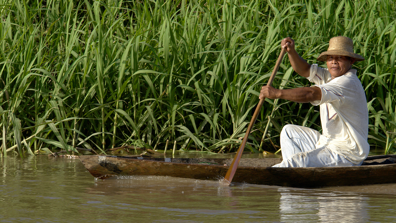 Tackling the Climate Crisis: Why Indigenous Communities Are Central to the Solution