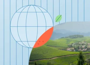 Rethinking the Food Transition Through a Worker Lens 