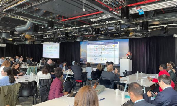 Governments at the Centre: Reflections from the GAILA Co-Creation Workshop