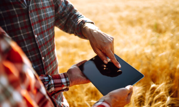 Field Notes: How Social Impact Organizations are Taking AI into Program Delivery