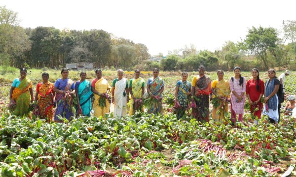From Participation to Power: The Next Frontier for Women’s Economic Empowerment in India