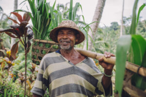 Assessing the Technical Capacity of the Food & Agriculture Organization of the United Nations (FAO)