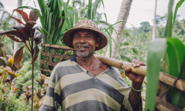 Assessing the Technical Capacity of the Food & Agriculture Organization of the United Nations (FAO)